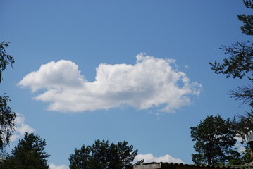 Fototapeta premium White fluffy cloud. Against the background of a clear light blue sky, a lonely large white cloud is somewhat reminiscent of a spaceship. The cloud is white at the top and gray at the bottom.
