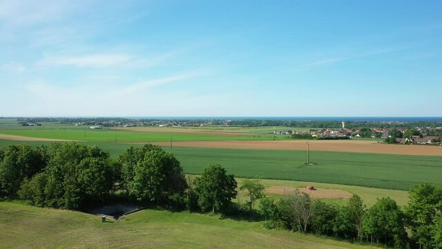 Une haie dans le bocage normand face &agrave; la Manche en Europe, en France, en Normandie, vers Arromanches, en &eacute;t&eacute;, lors d'une journ&eacute;e ensoleill&eacute;e.