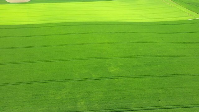 Les textures verdoyantes de la campagne normande en Europe, en France, en Normandie, vers Deauville, en &eacute;t&eacute;, lors d'une journ&eacute;e ensoleill&eacute;e.