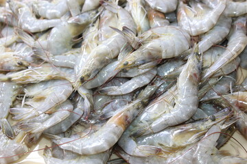 fresh fish at the market