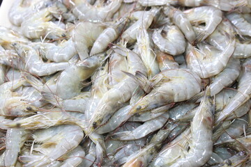 fresh Shrimps at the Public market