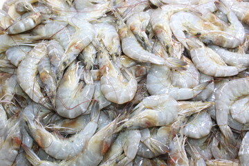 fresh shrimps on the market