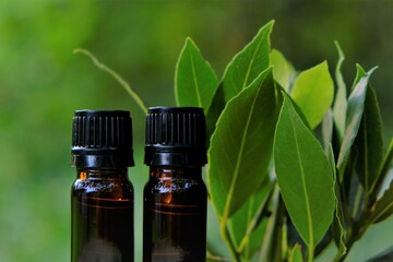 laurel oil.Bay leaf oil. Laurel essential oil.Glass brown bottles set and laurel leaves on a green blurred background