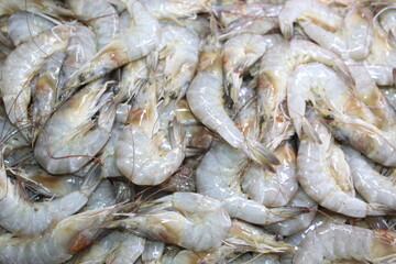 fresh shrimps on ice