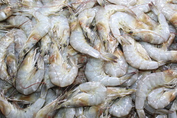 fresh fish on the public market