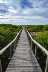 Fototapeta na wymiar Wooden pathway leading to the beach
