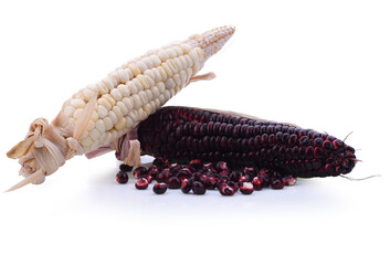 fresh purple corn isolated on a white background
