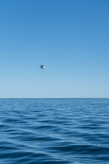Vista al barco hundido