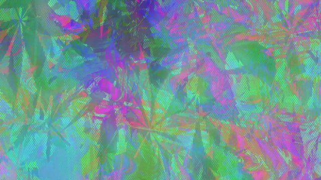 An abstract psychedelic pot leaf glitch art motion graphic.