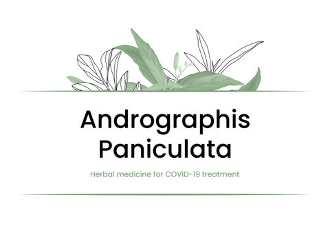 Andrographis paniculata leaves text mockup