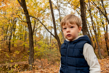 Smiling toddler in a blue vest plays in the autumn forest. Child fantasy concept.