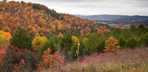Ozark Mountain Landscapes in Fall