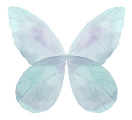 Watercolor blue butterfly. Colorful blue butterfly illustration