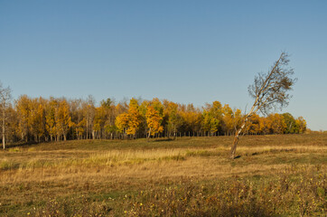 Elk Island National Park on an Autumn Evening