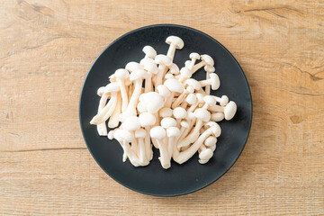 white beech mushroom or white reishi mushroom