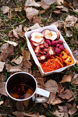 Dried fruits, berries in paper box, still mug of rose hip tea outdoors on fall leaves background. Healthy snack for hiking. Autumn vacation.