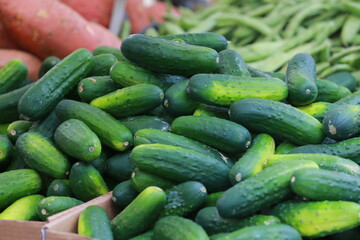 Cucumbers