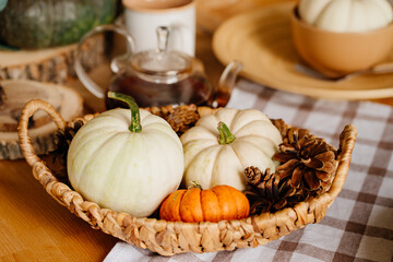 basket with small decorative white and orange pumpkins and cones.
