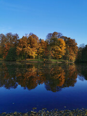 Autumn in the park. Trees with bright, colorful leaves grow around the pond and are reflected in its blue water. Inverted photo..