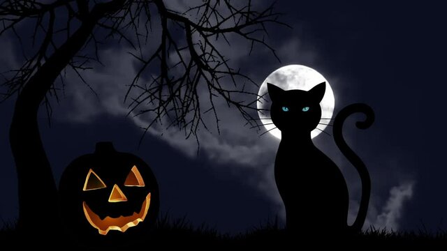 Black cat with scary spooky blue eyes and Halloween pumpkin on full moon background. Night creepy horror Halloween holiday. Superstition evil animal concept.