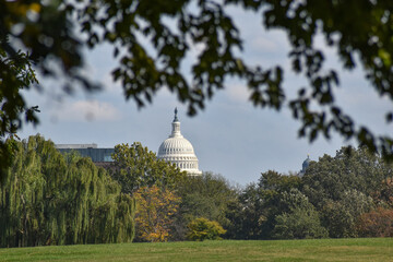 Obraz premium Washington, DC, USA - October 25, 2021: U.S. Capitol Building as Seen from Henry Bacon Drive, Near the Vietnam Veterans Memorial, Framed by Trees and Leaves in the Foreground on a Sunny Fall Day