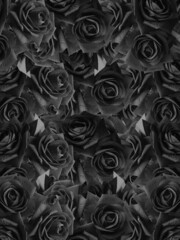 black and white roses textured background, nature, banner, template, background