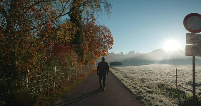 Man walking alone as beautiful autumn foliage falling on empty path alongside field inside isolated village in Sch&ouml;naich Germany, Europe