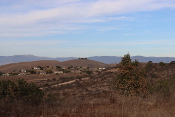 Houses Nestled on the Hillside