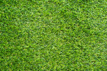 Fototapeta premium Green grass texture for background. Green lawn pattern and texture background.