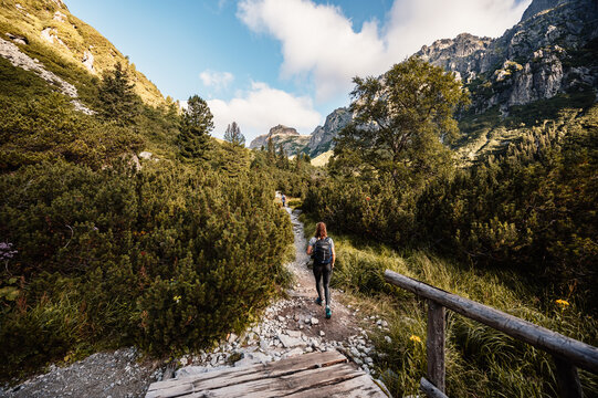 Hiking the Great Cold Valley/ velka studena dolina/ to Zbojnicka cottage and teryho cottage through priecne saddle. High Tatras National park , Slovakia.