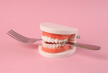 Human jaw model with fork in teeth on pink background