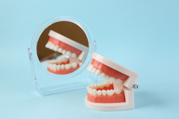 The model of the jaw looks in a mirror on blue background. Dental care