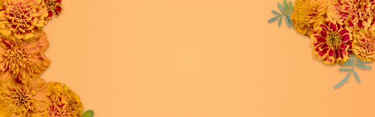 Fondo decorativo con flores de Cempasúchil para Día de Muertos 