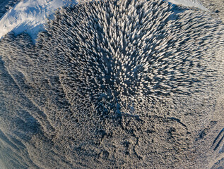 Top down aerial view of snow covered evergreen pine forest after heavy snowfall in winter mountain woods on cold quiet day.