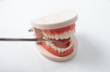 Human jaw model with teeth and dental examination mirror on white background. Dental treatment