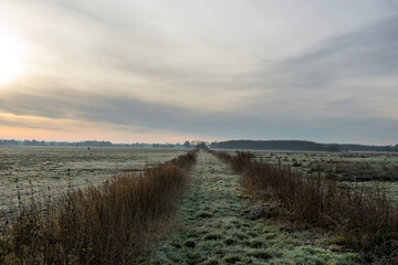 path in the field