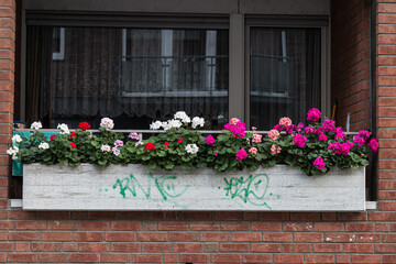 Fototapeta na wymiar Flowers in pots on balcony