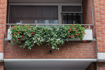 Flowers in pots on balcony