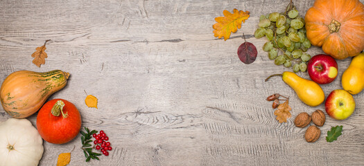 Various pumpkins, berries, grapes, pears and autumn leaves on oak wood background. Concept of Thanksgiving day. Flat lay banner autumn composition with copy space.