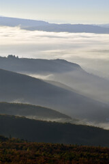 Herbstnebel im Nationalpark Hunsrück-Hochwald
