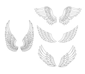 Heraldic wings set isolated on white background. Vector outline icons angel or bird wings collections.