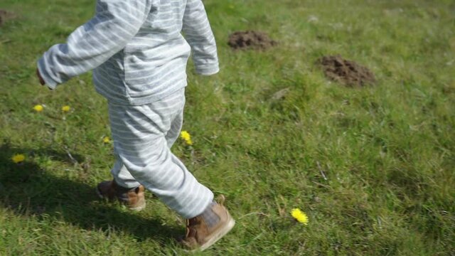 Toddler boy walks on short grass in field through yellow flowers