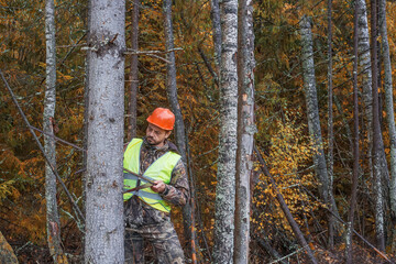 A forest worker measures the diameter of a tree with a measuring tool. Real people work in the...