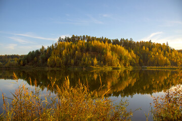 The bright yellowed forest is reflected in the surface of the lake, illuminated by sunlight. Autumn landscape.
