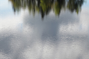 reflection in water