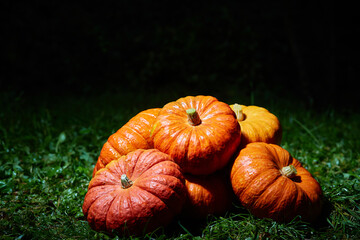 A stack of large orange pumpkins on the green grass at night. Autumn harvest, Halloween.