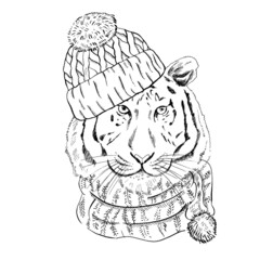 Hand - drawn portrait of a New Year tiger in a scarf and a knitted hat. Vector illustration. Vintage line sketch. Christmas illustration.
