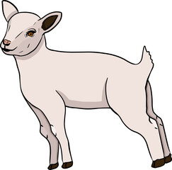 Sheep. Hand drawn cattle, animal grazing vector illustration. Farm pets. Illustration for label, poster, print and design. Clip art of farm animal in sketch realistic style.