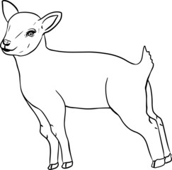 Sheep. Hand drawn cattle, animal grazing vector illustration. Farm pets. Illustration for label, poster, print and design. Clip art of farm animal in sketch realistic style.