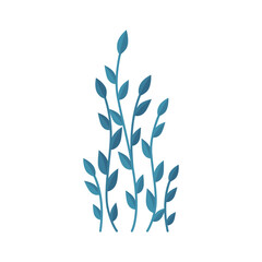 Sea Weed Leaves Composition